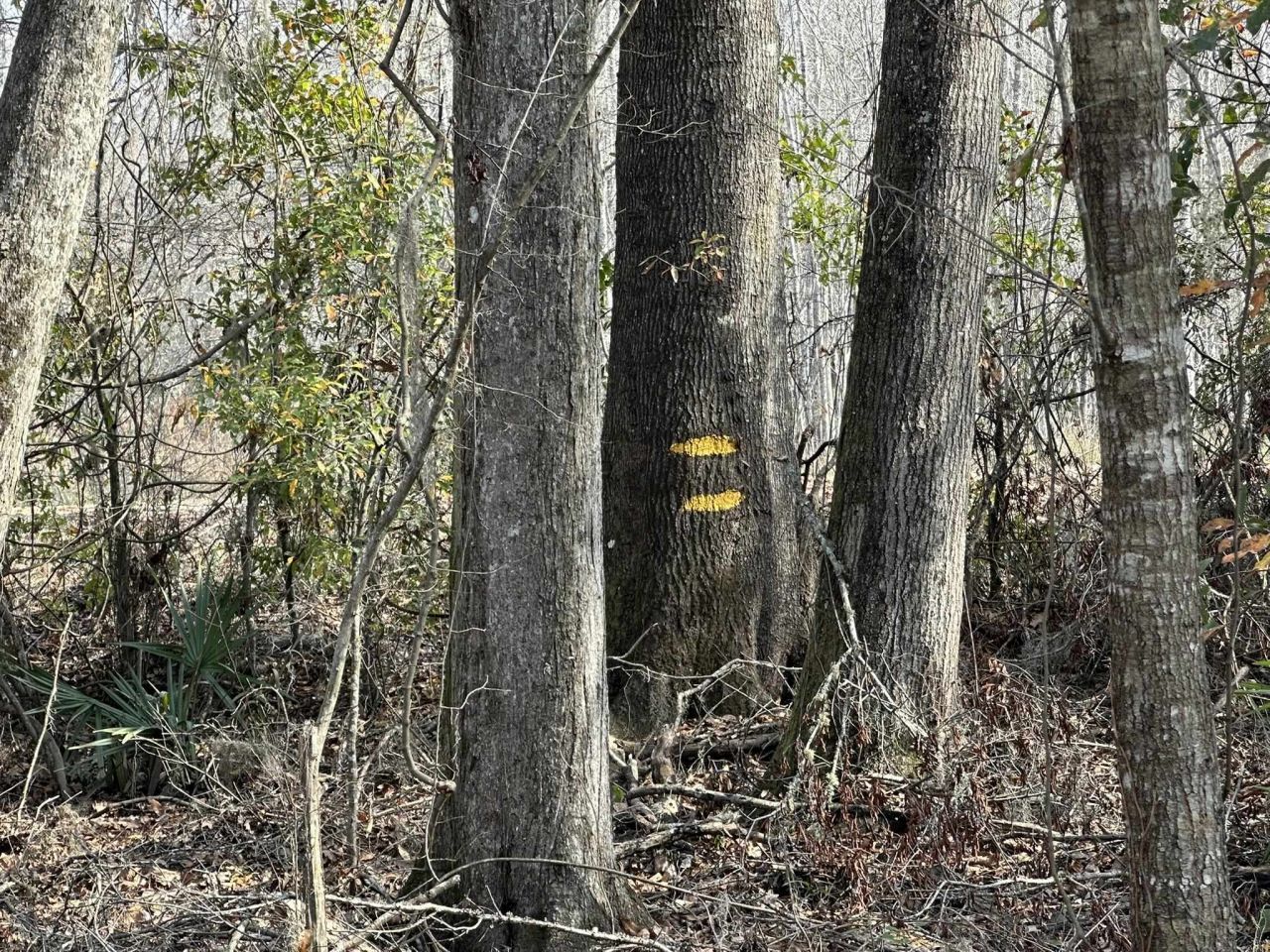 Tbd Hunters Chapel Rd  Photo 35