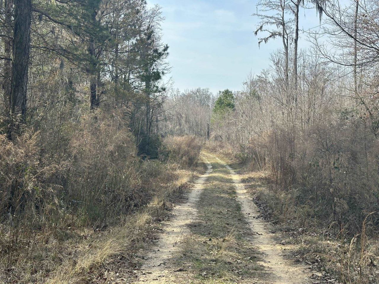 Tbd Hunters Chapel Rd  Photo 36