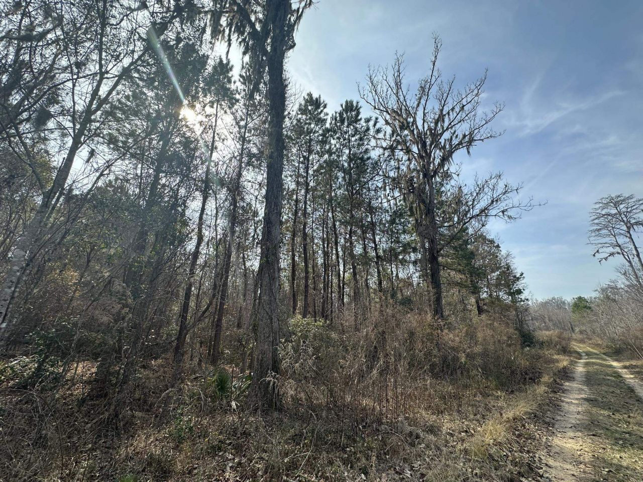 Tbd Hunters Chapel Rd  Photo 37