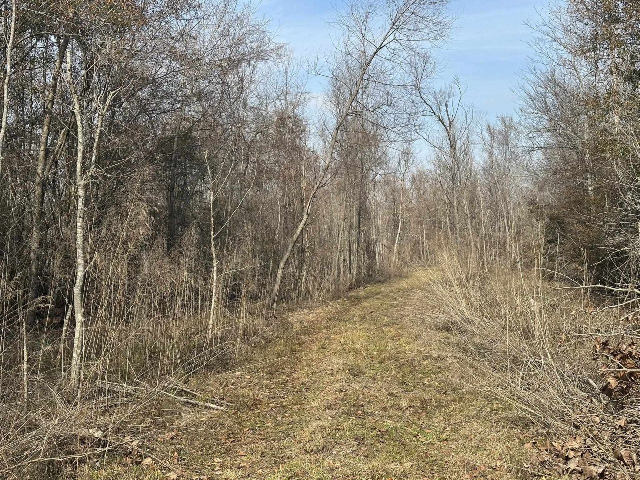 Tbd Hunters Chapel Rd  Photo 38