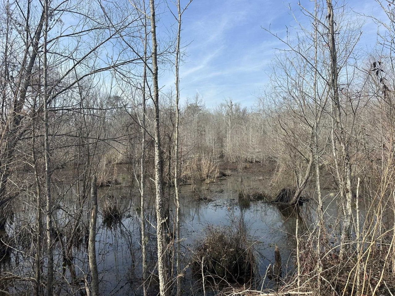 Tbd Hunters Chapel Rd  Photo 39