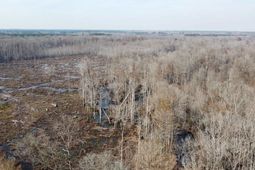 Tbd Hunters Chapel Rd  photo 4