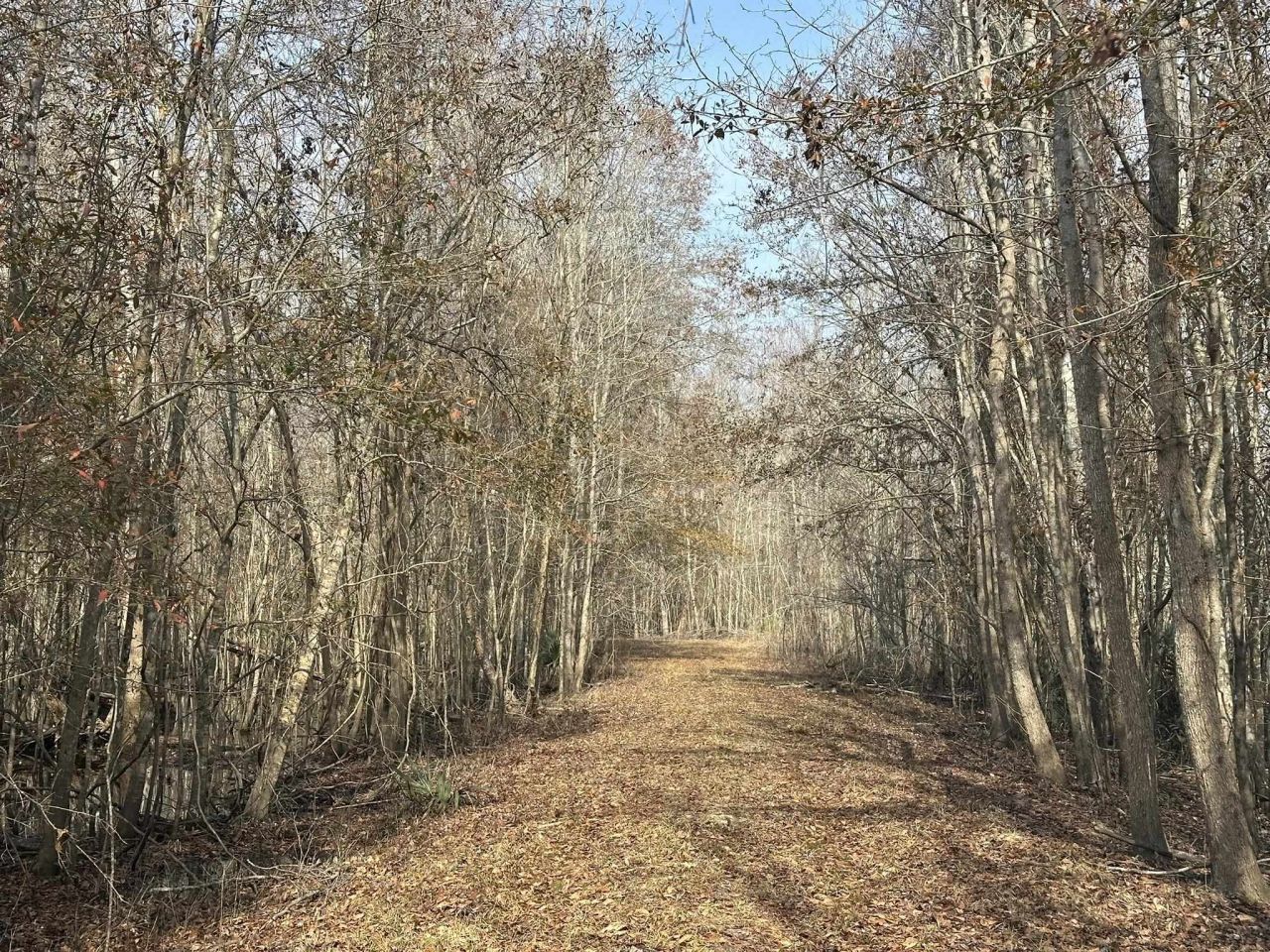 Tbd Hunters Chapel Rd  Photo 40