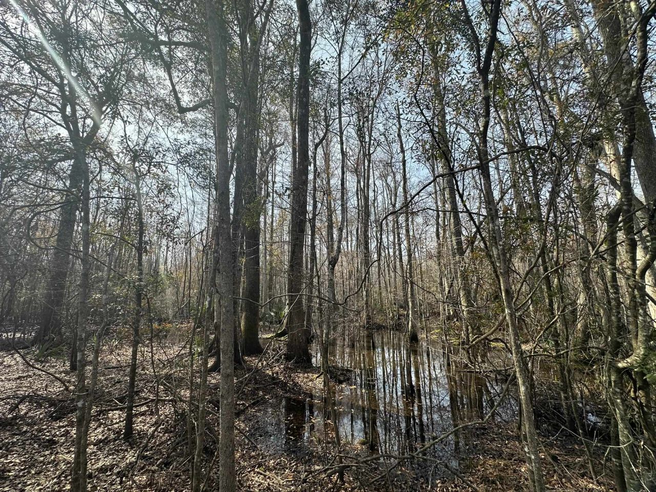 Tbd Hunters Chapel Rd  Photo 41