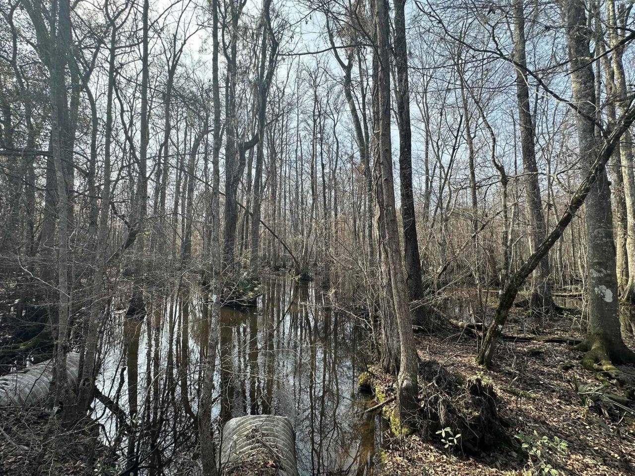 Tbd Hunters Chapel Rd  Photo 42