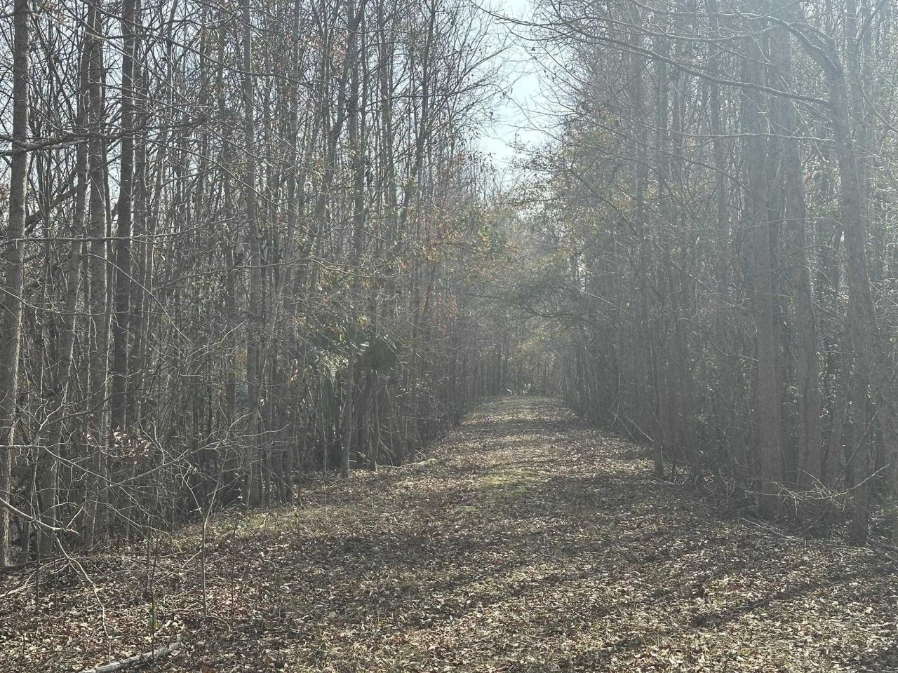 Tbd Hunters Chapel Rd  Photo 43