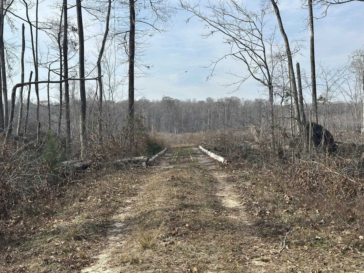 Tbd Hunters Chapel Rd  Photo 44