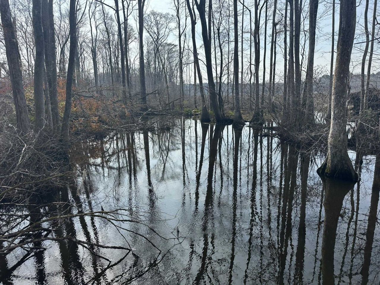 Tbd Hunters Chapel Rd  Photo 46