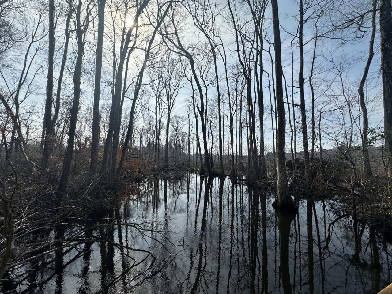 Tbd Hunters Chapel Rd  Photo 47