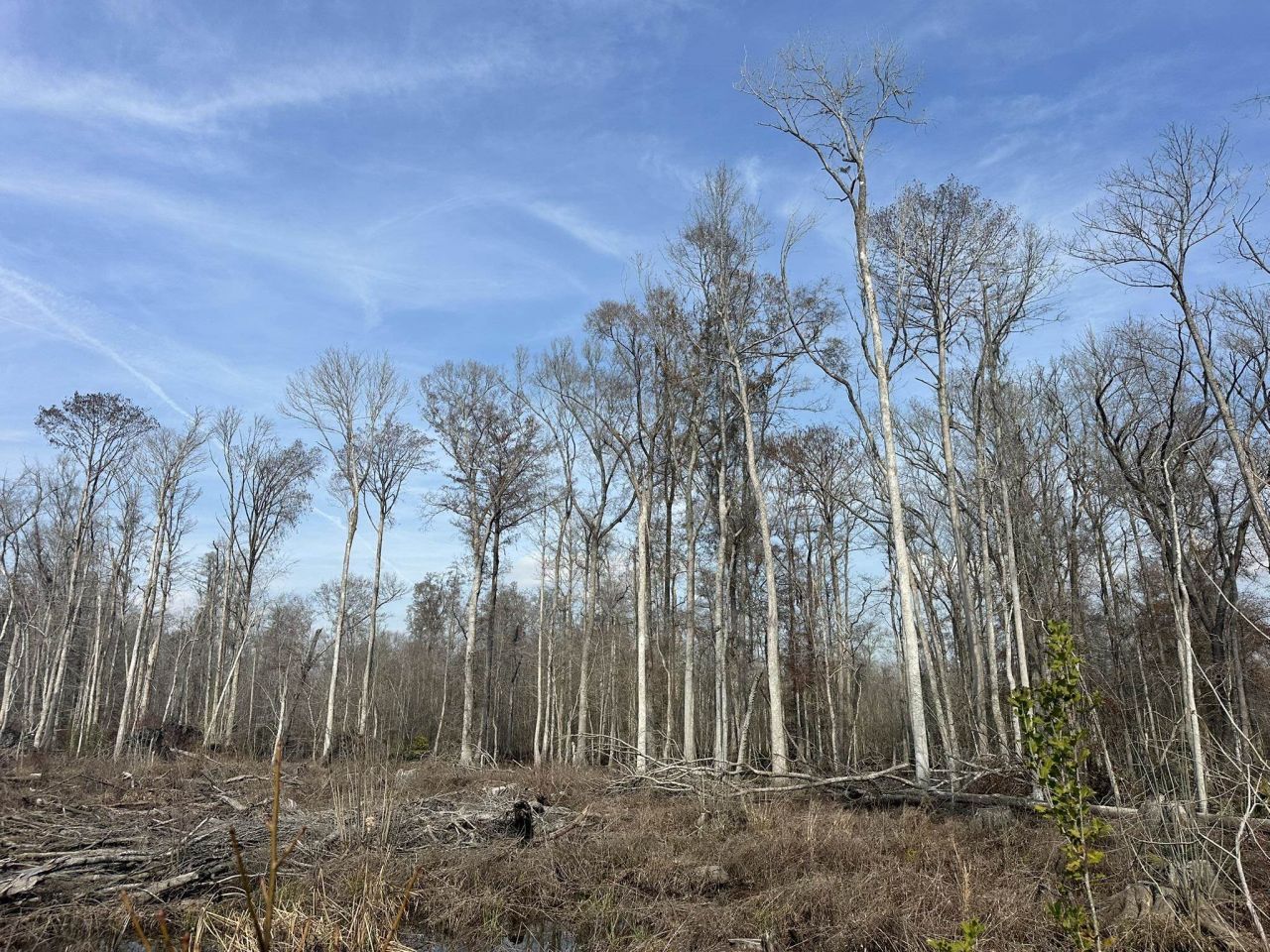 Tbd Hunters Chapel Rd  Photo 49