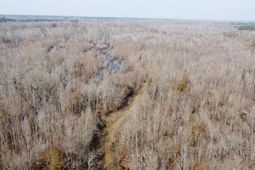 Tbd Hunters Chapel Rd  photo 4