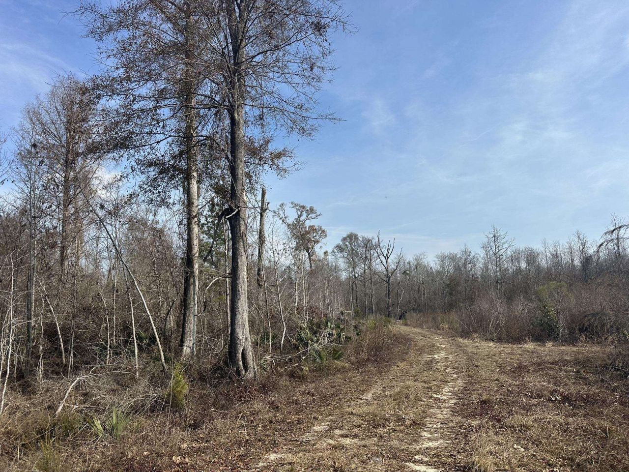 Tbd Hunters Chapel Rd  Photo 50