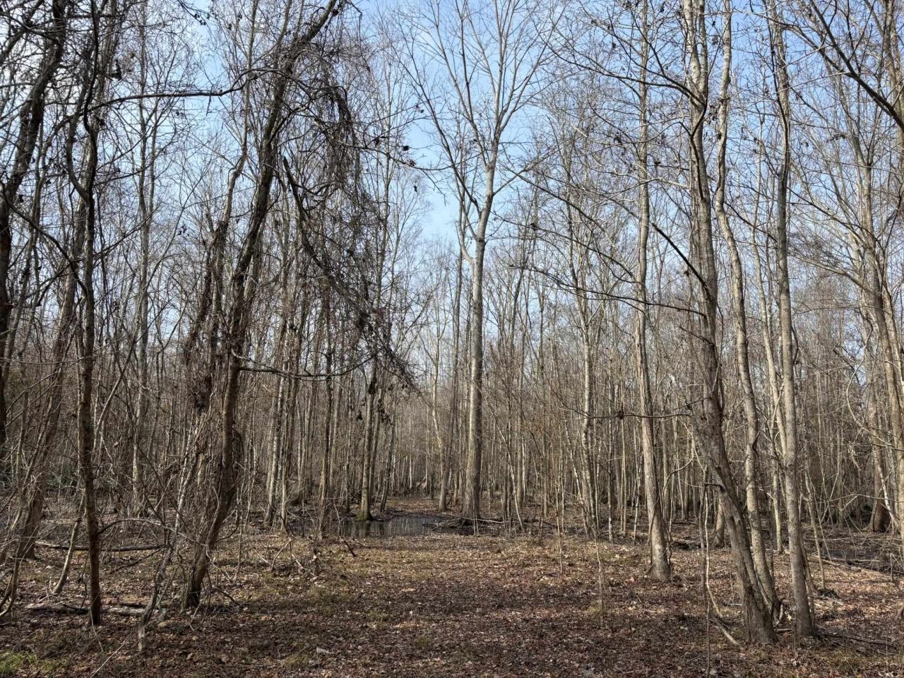 Tbd Hunters Chapel Rd  Photo 51