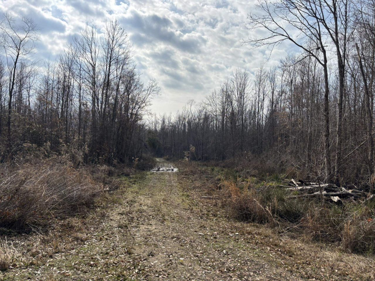 Tbd Hunters Chapel Rd  Photo 52