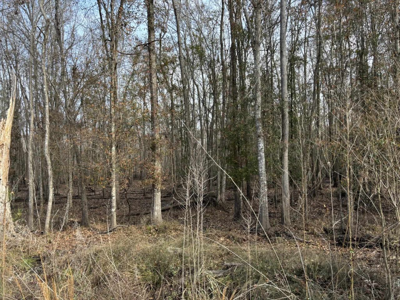 Tbd Hunters Chapel Rd  Photo 53