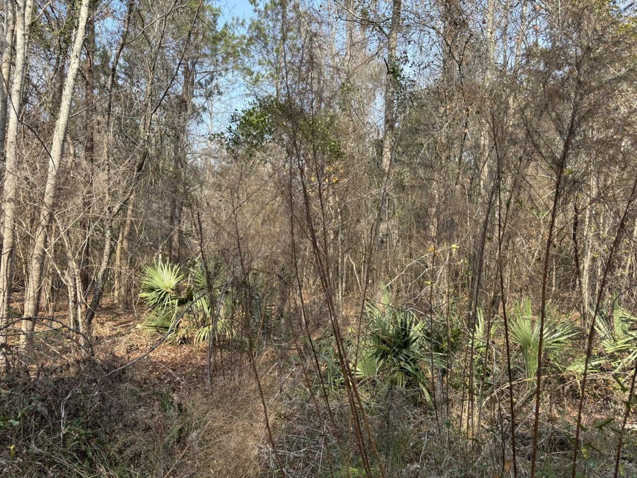 Tbd Hunters Chapel Rd  Photo 54