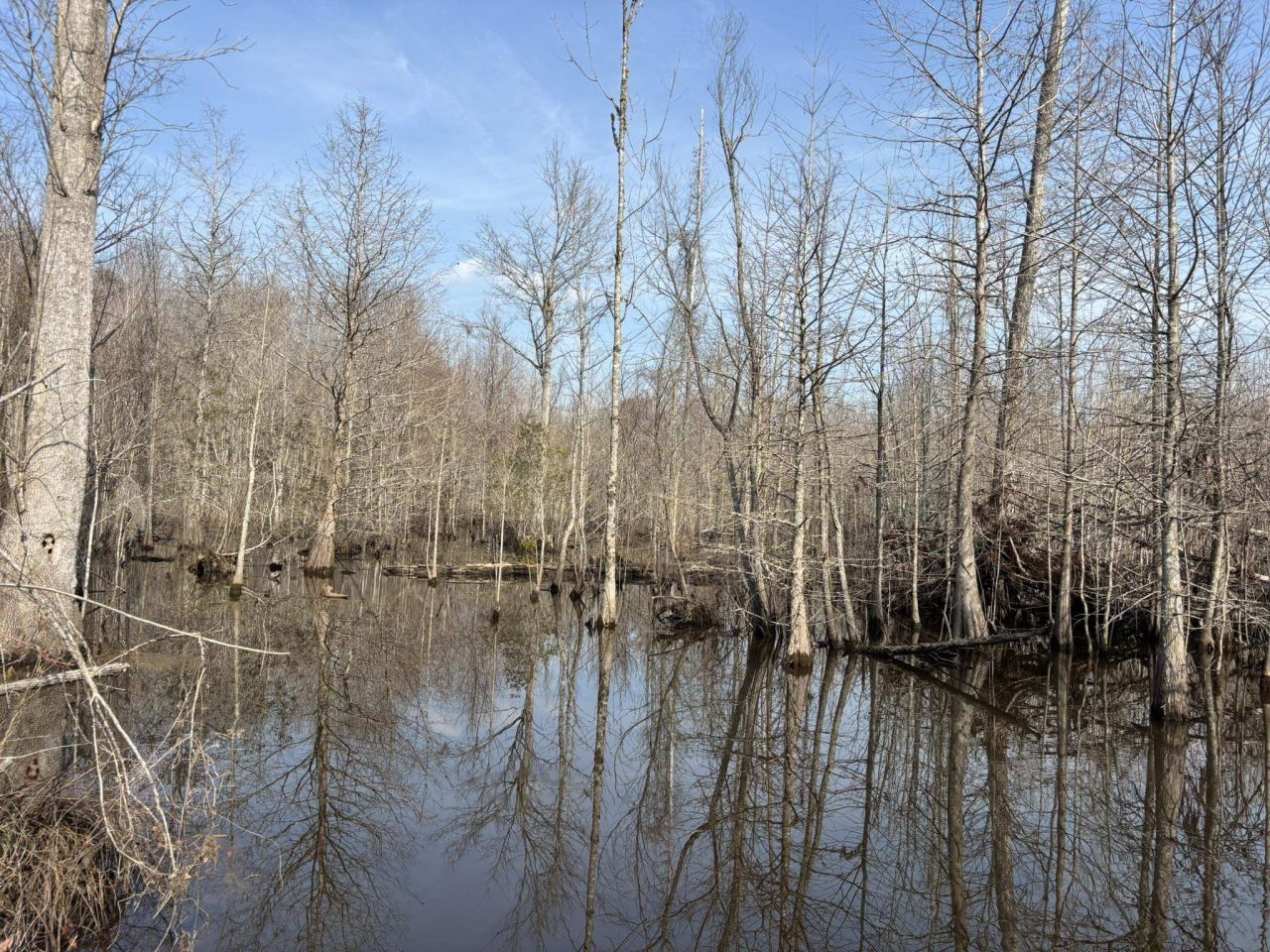 Tbd Hunters Chapel Rd  Photo 55