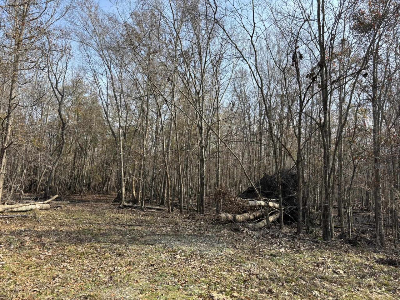 Tbd Hunters Chapel Rd  Photo 56