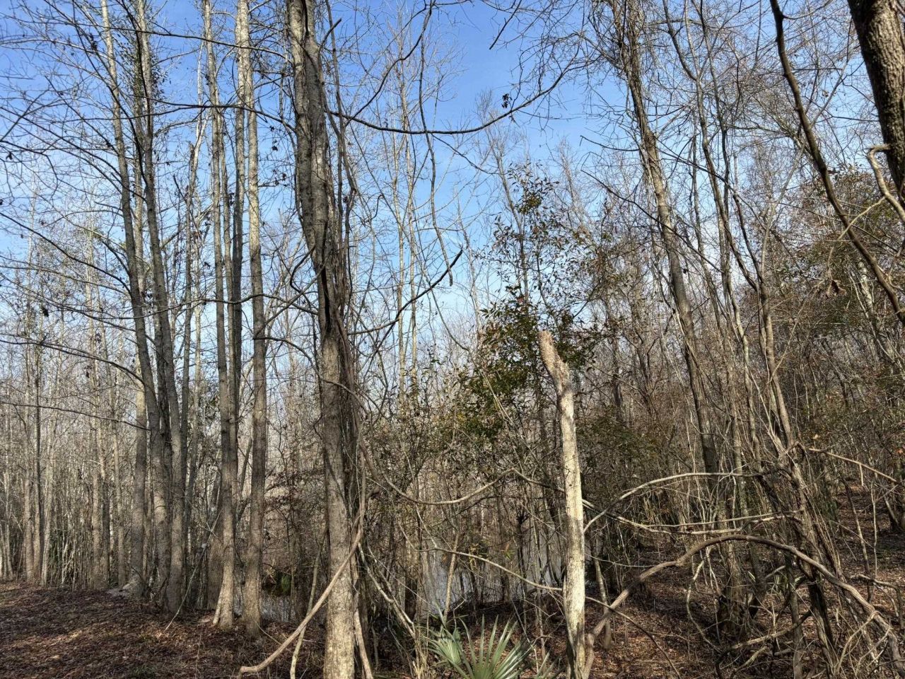 Tbd Hunters Chapel Rd  Photo 57