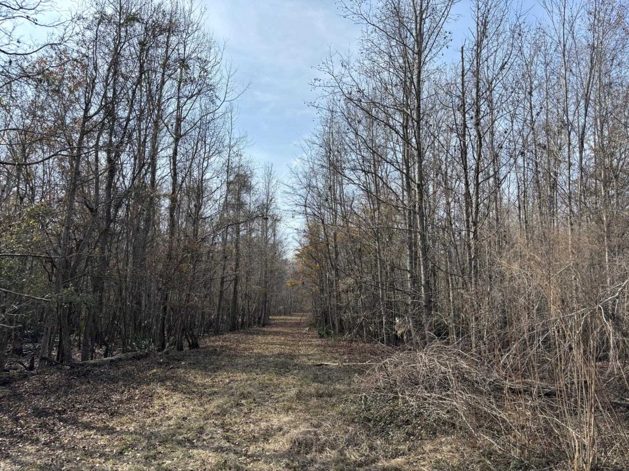 Tbd Hunters Chapel Rd  Photo 58