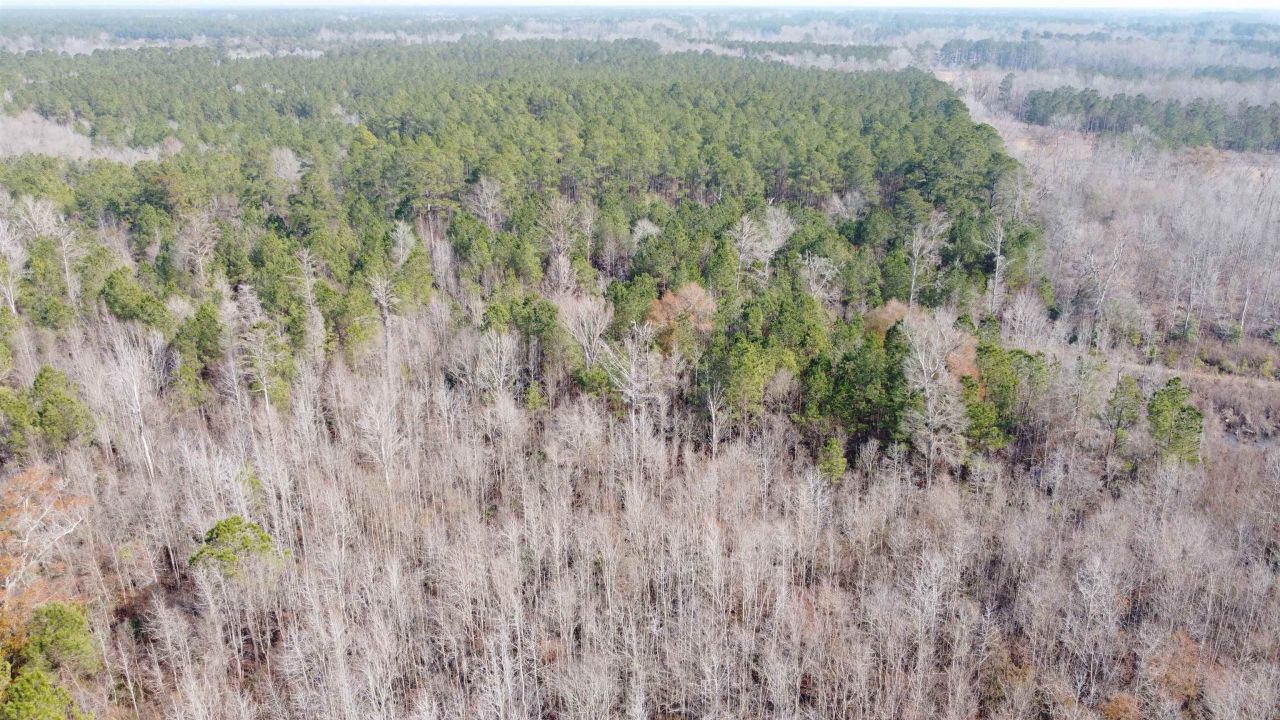 Tbd Hunters Chapel Rd  Photo 8