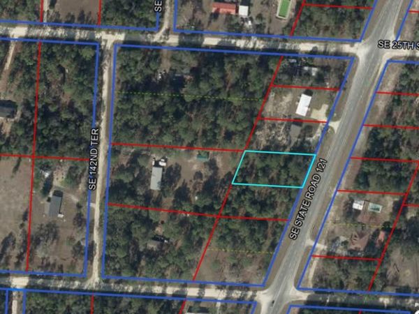 SE STATE ROAD 121 LOT 4, MORRISTON, FL 32668