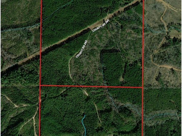 CR 260, Bruce, MS 38915