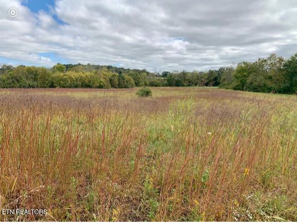 724 Blue Water Drive, Cookeville, TN 38506