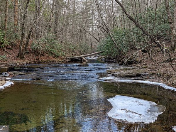 0 Trout Farm Road, Talking Rock, GA 30175