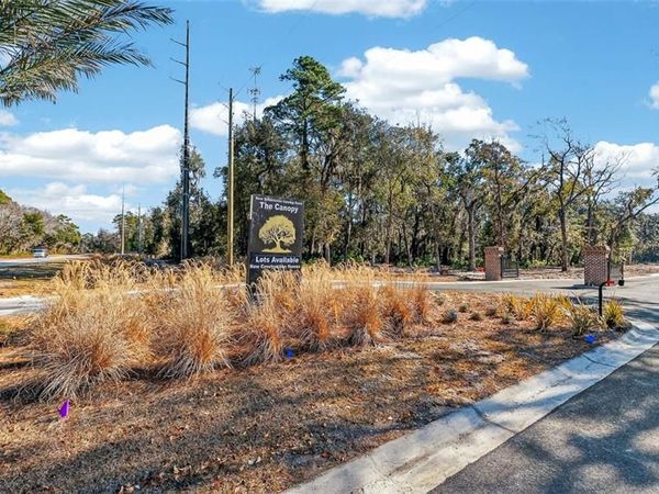 134 Canopy Lane, St Simons Island, GA 31522