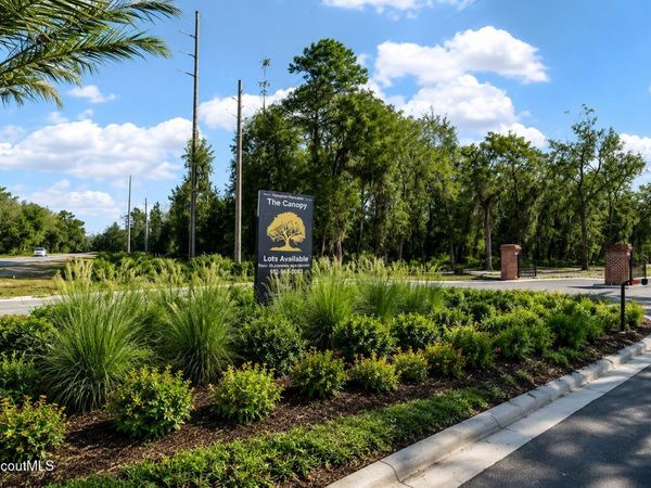 134 Canopy Lane, St. Simons Island, GA 31522