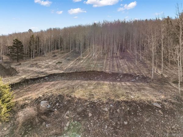 690 Anges Drive , Cripple Creek, CO 80813