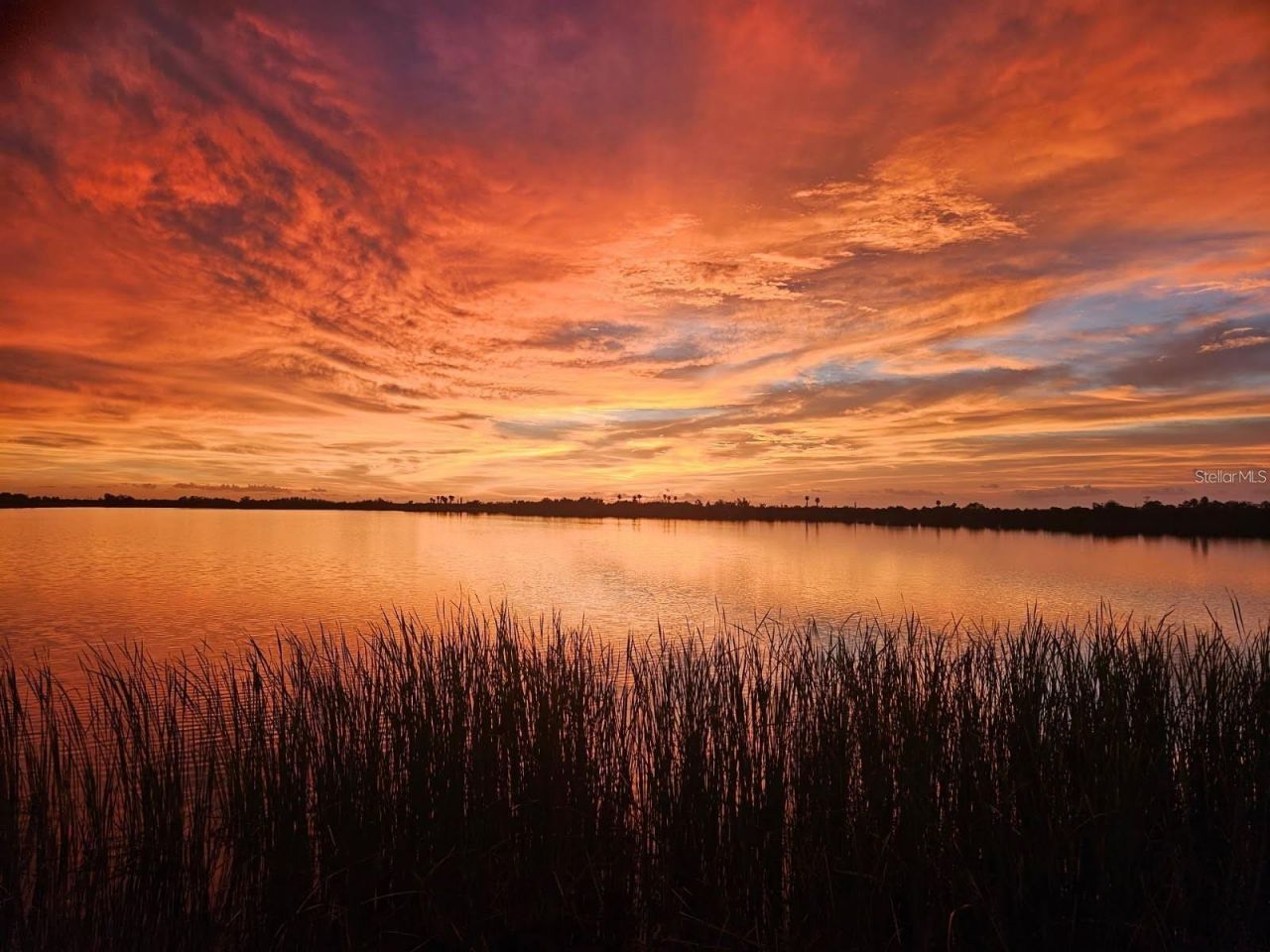 3215 Gulf City Road, Ruskin, FL 33570 Photo