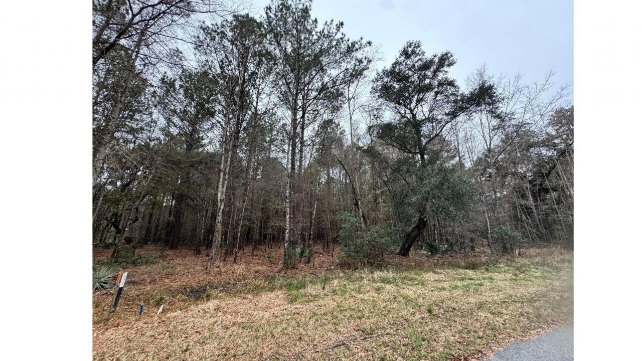 852 Somerset Drive Photo 4