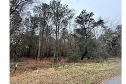 852 Somerset Drive photo 4