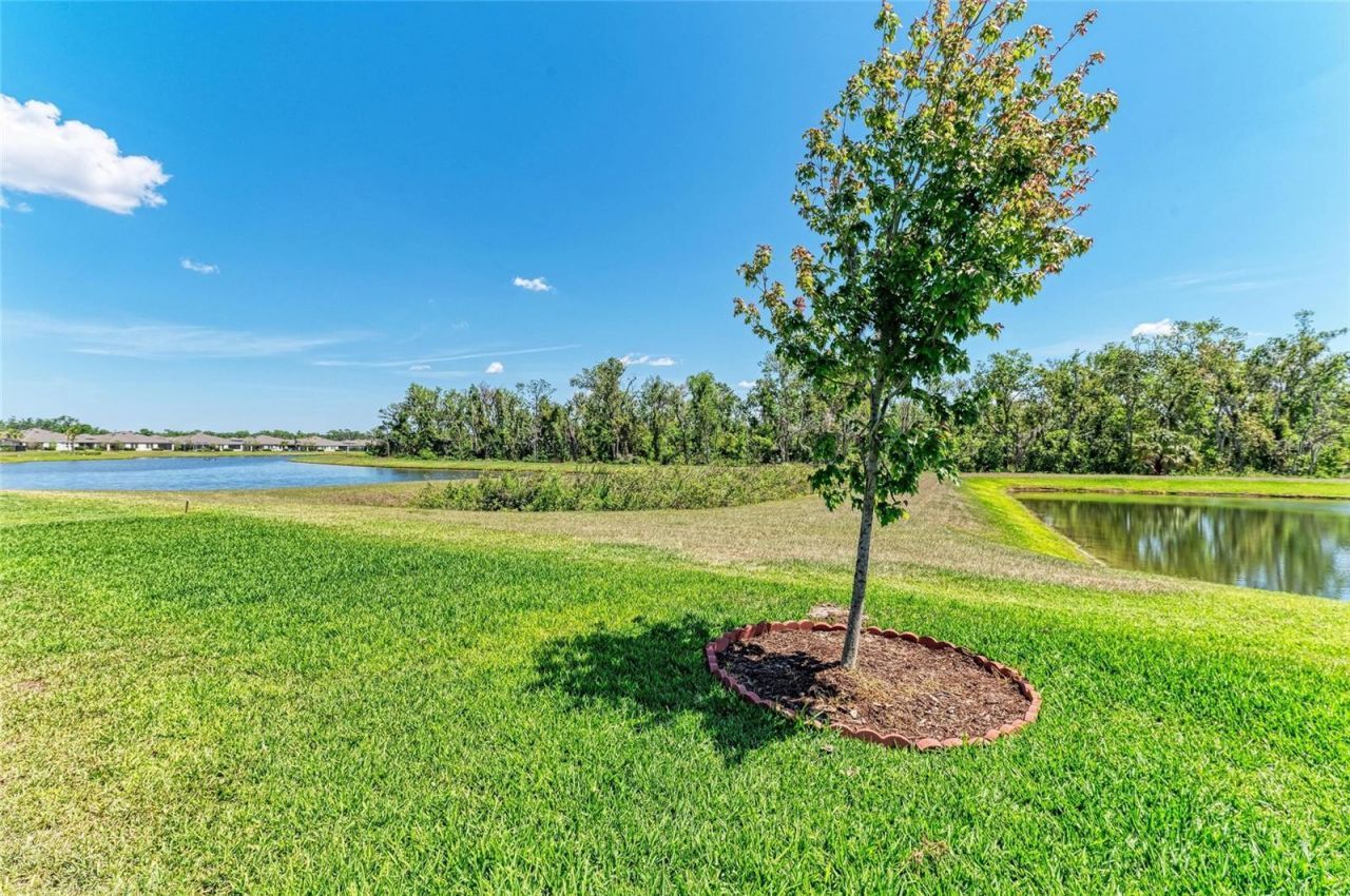 12664 Oak Hill Way, Parrish, FL 34219 Photo