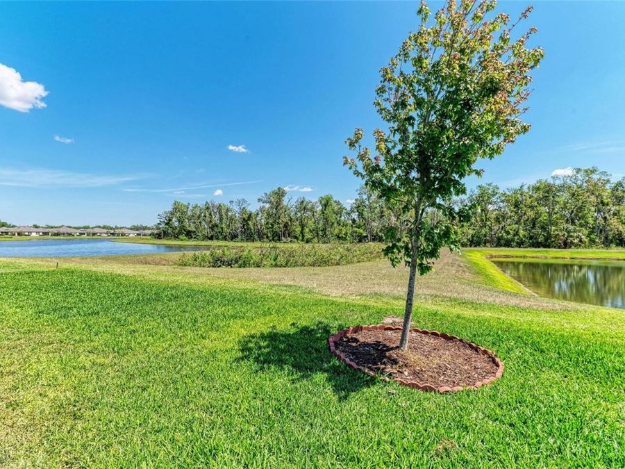 Property Image 67