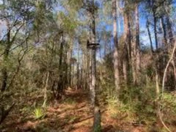 Parcel C W Sunburst Drive, Crestview, FL 32539