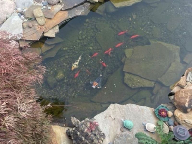 3906 Everett Road, Richfield, OH 44286 Photo 19