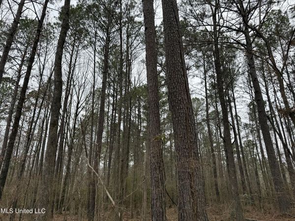Mount Elam Church Road, Pearl, MS 39208