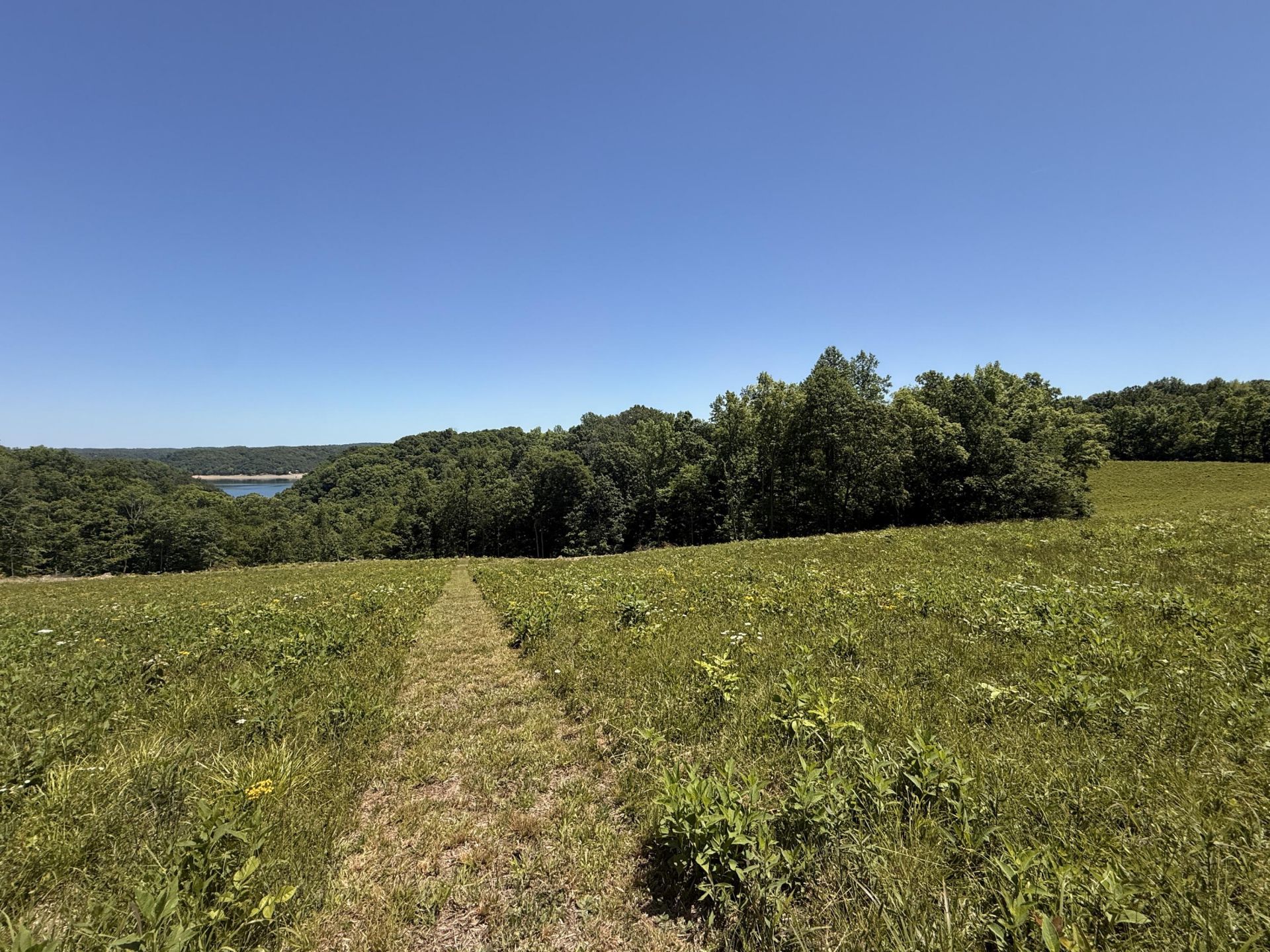 Tract 4 Hwy 196, Nancy, KY 42544 Main Photo