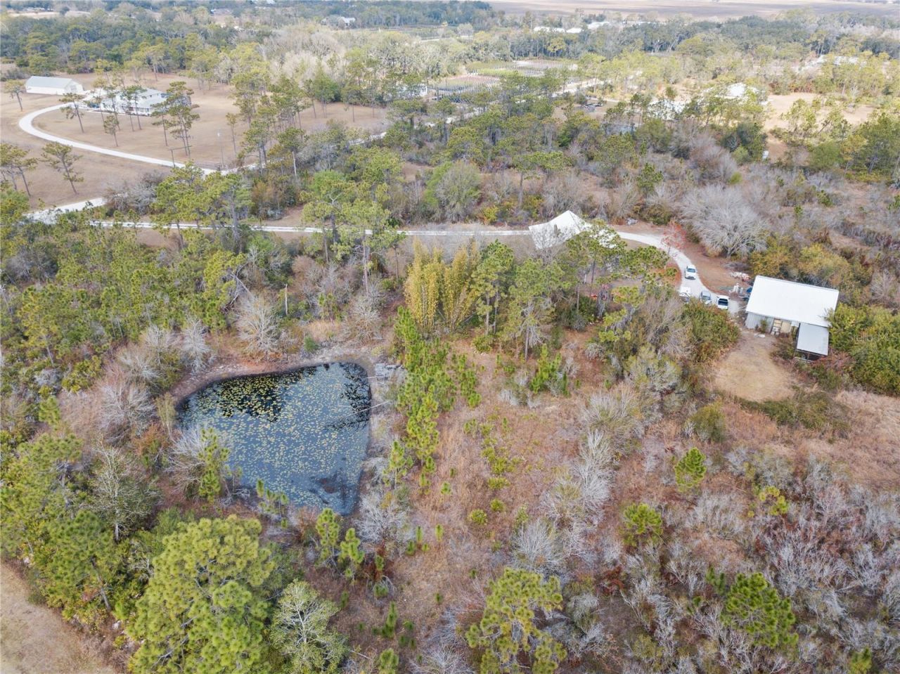 7251 241st Street E, Myakka City, FL 34251 Photo