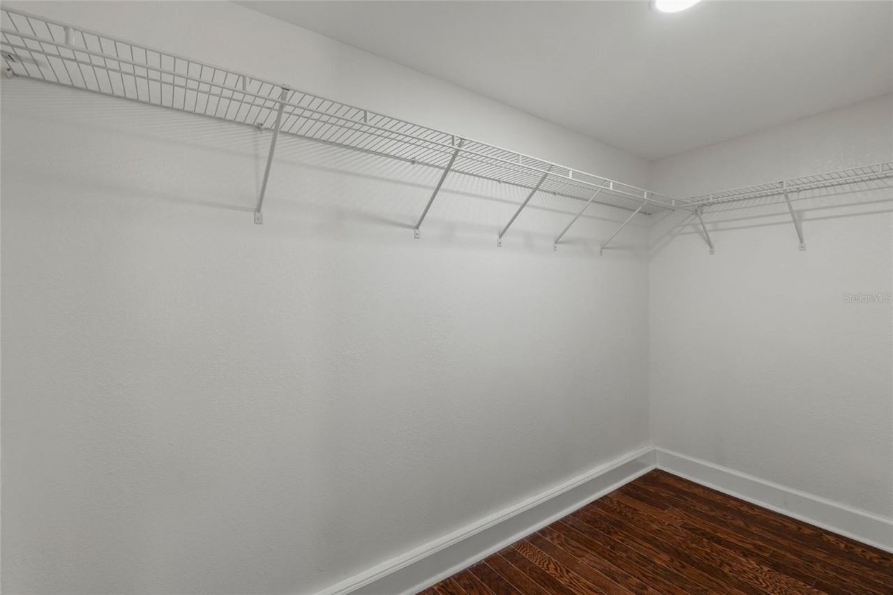 300 E Idlewild Avenue, Tampa, FL 33604 Photo