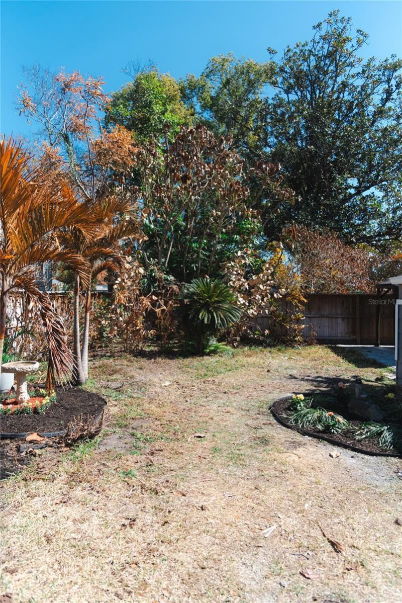 300 E Idlewild Avenue, Tampa, FL 33604 Photo