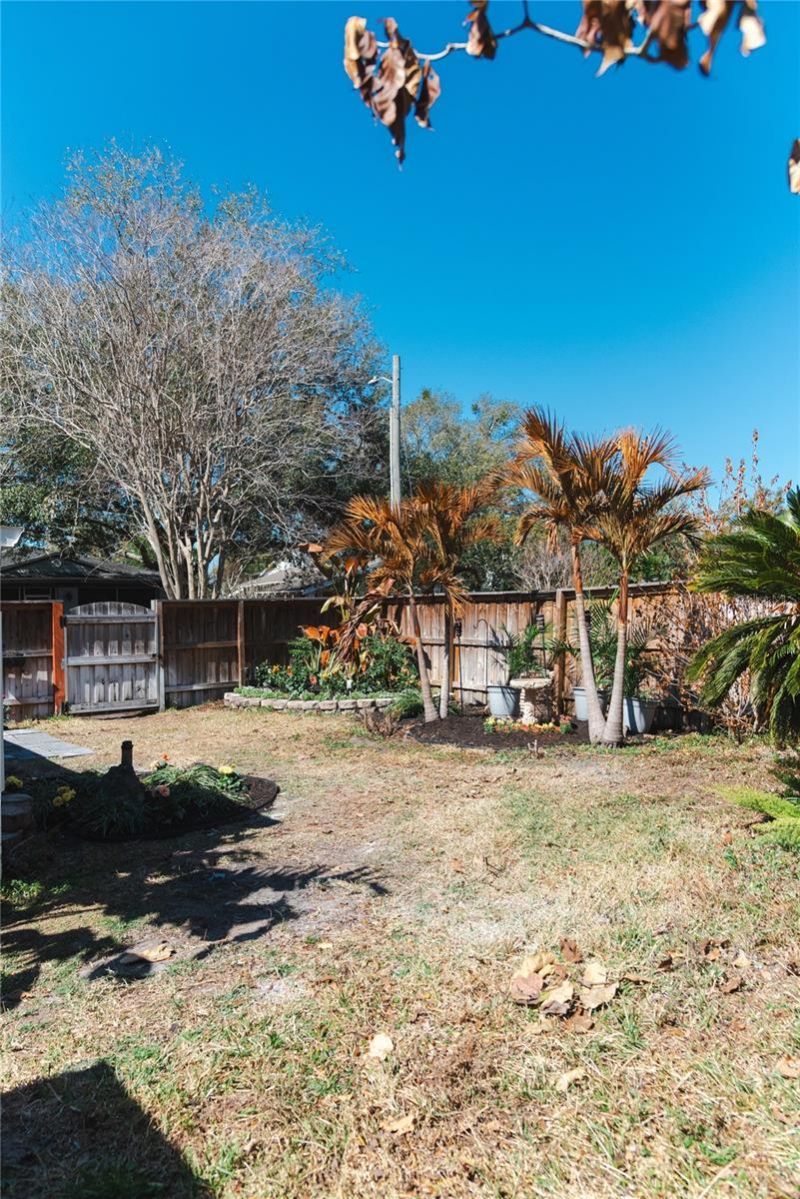 300 E Idlewild Avenue, Tampa, FL 33604 Photo