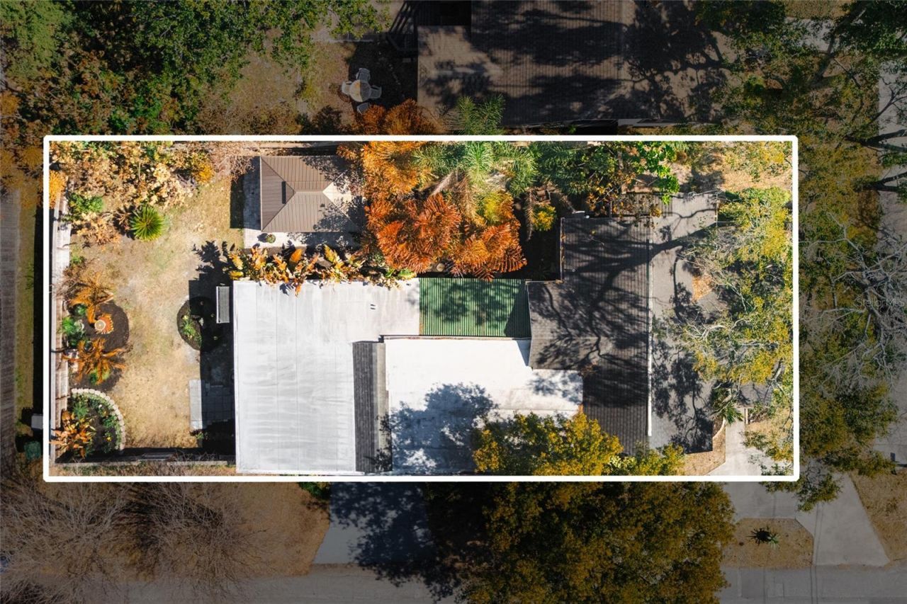 300 E Idlewild Avenue, Tampa, FL 33604 Photo