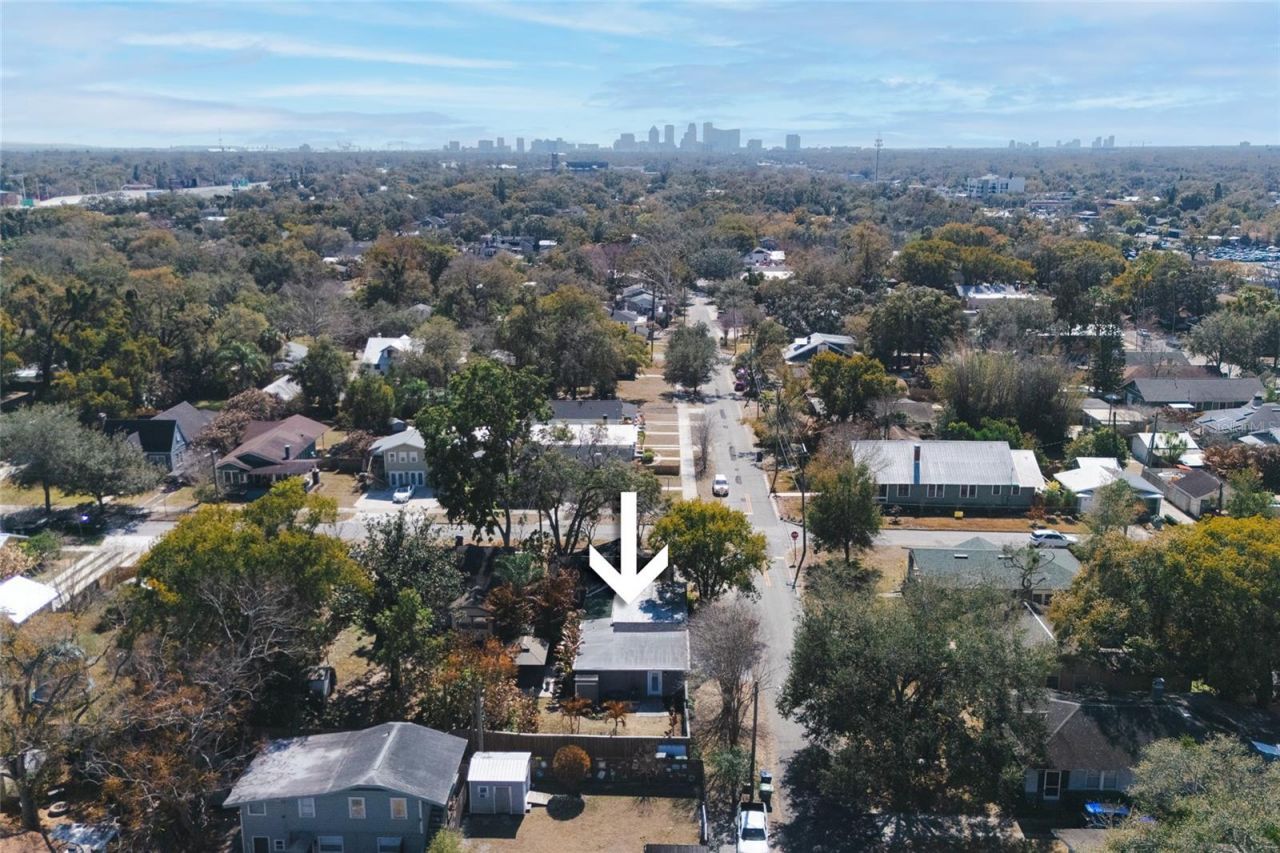 300 E Idlewild Avenue, Tampa, FL 33604 Photo