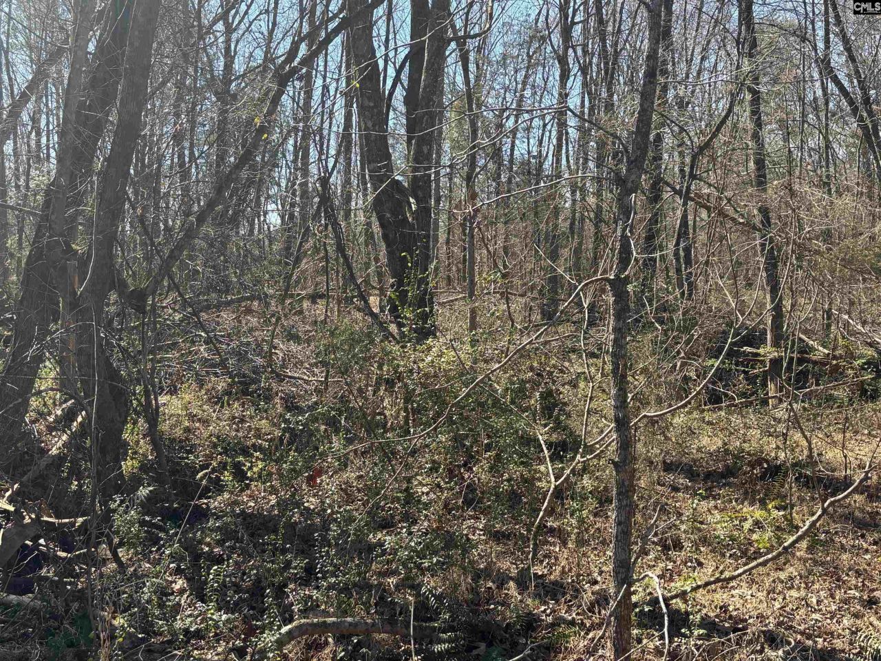 0 Bethany Road Photo 21