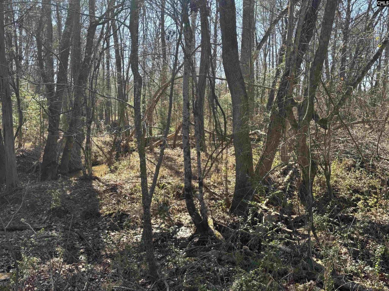 0 Bethany Road Photo 22