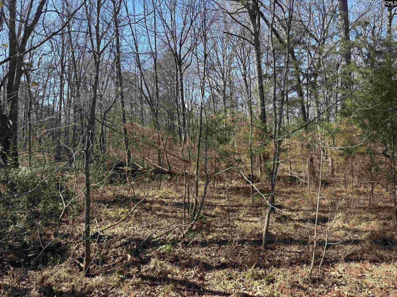 0 Bethany Road Photo 24